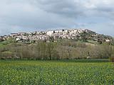 IMG_3566