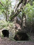 IMG_3577