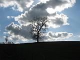 IMG_3579