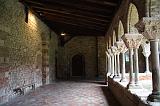 IMG_1690