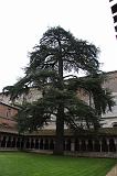 IMG_1694