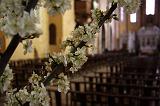 IMG_1730