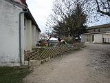 IMG_3593