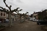 IMG_1903