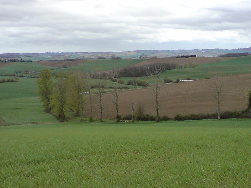 DSC02872