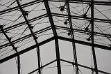 IMG_2089