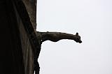 IMG_1120