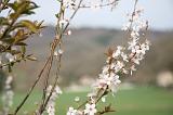 IMG_1150