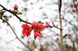 IMG_1151