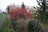 IMG_1175