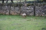IMG_1215