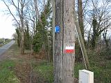 IMG_3170