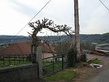 IMG_3179