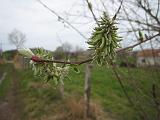 IMG_3185