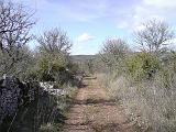 DSC02667