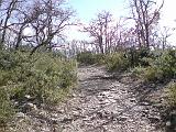 DSC02681