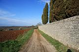 IMG_1281