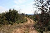 IMG_1300