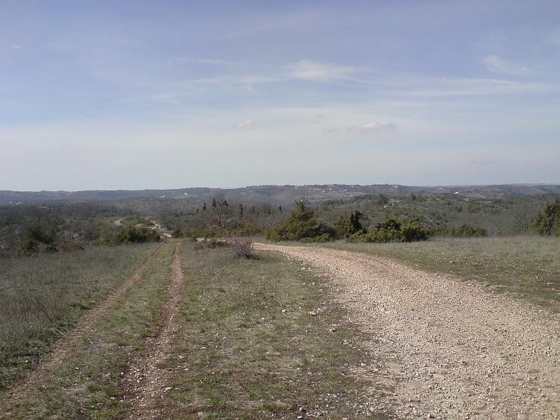 DSC02715