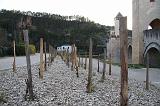 IMG_1459
