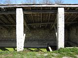 IMG_3450
