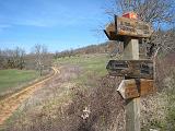 IMG_3453