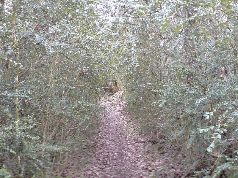 DSC02735
