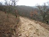 IMG_3490