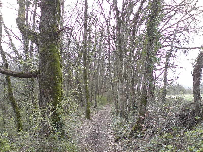DSC02771