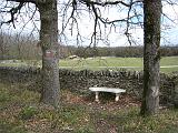 IMG_3524